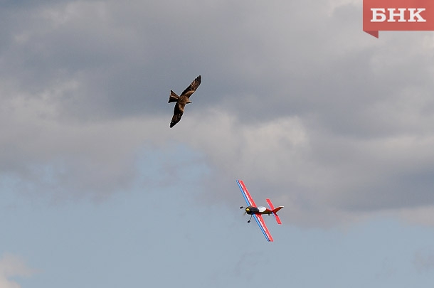 KIR_1184-copy.jpg KIR_1184-copy.jpg