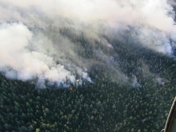 IMG_0332.JPG IMG_0332.JPG