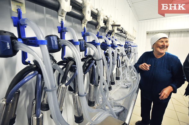 DSC_8665.jpg DSC_8665.jpg