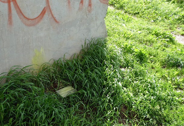 P1110584.JPG