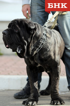 ANT_9532.jpg ANT_9532.jpg