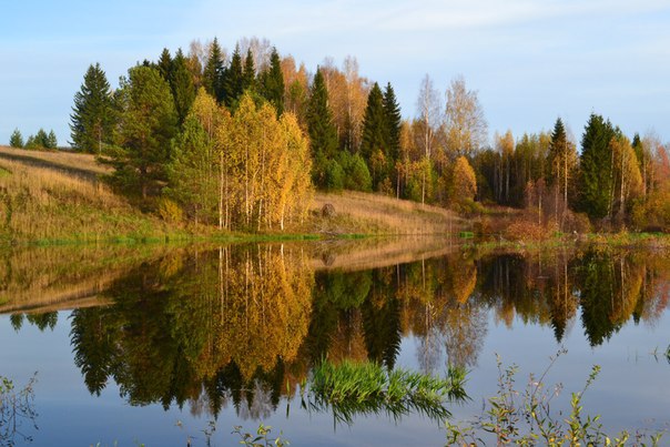 Фотокадр дня