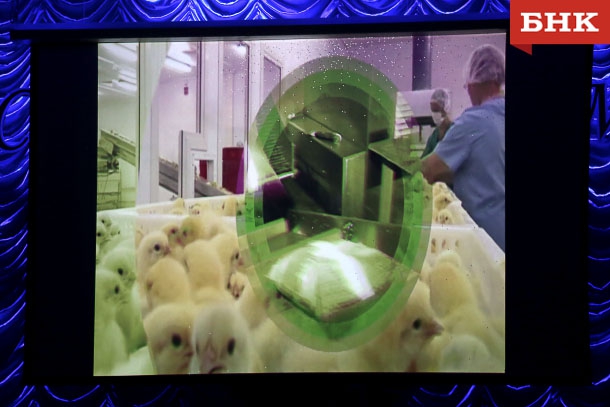 ANT_9632.jpg