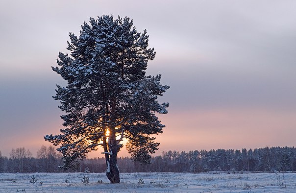 Фотокадр дня