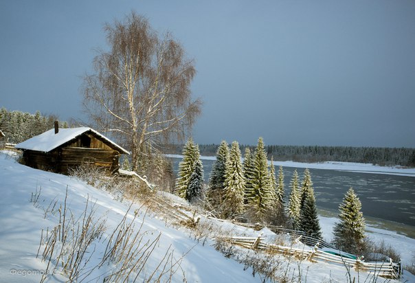 Фотокадр недели