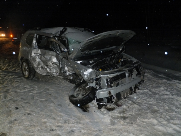 Povreghdeniya-Reno.JPG Povreghdeniya-Reno.JPG