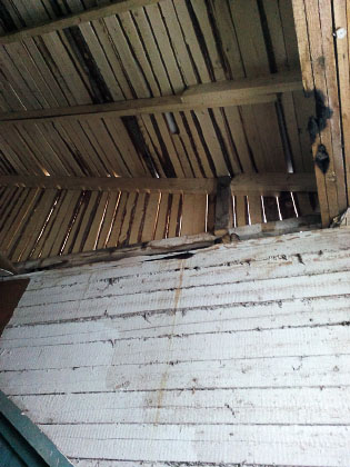 kryscha.jpg kryscha.jpg