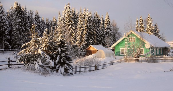 Фотокадр недели