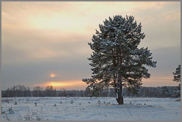 Фотокадр дня