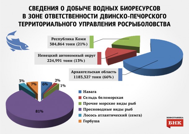 Путина-2015: улов Коми – почти 385 тонн