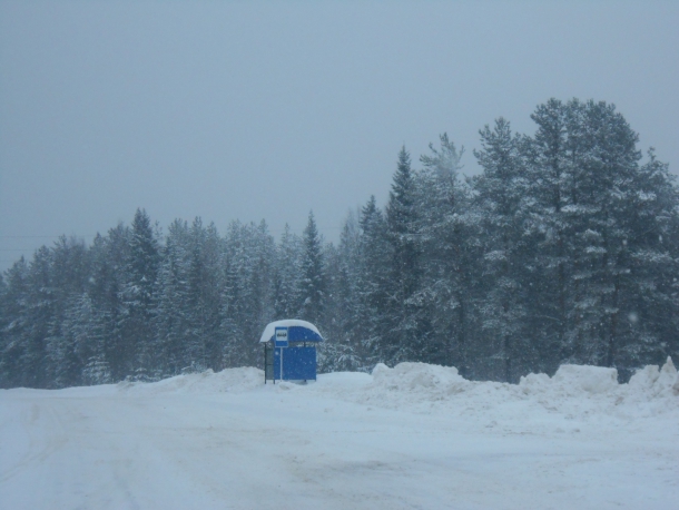 DSCN0890.JPG DSCN0890.JPG