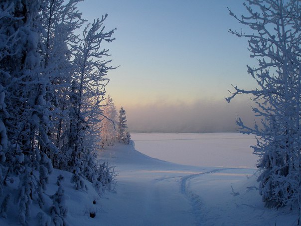 Фотокадр дня