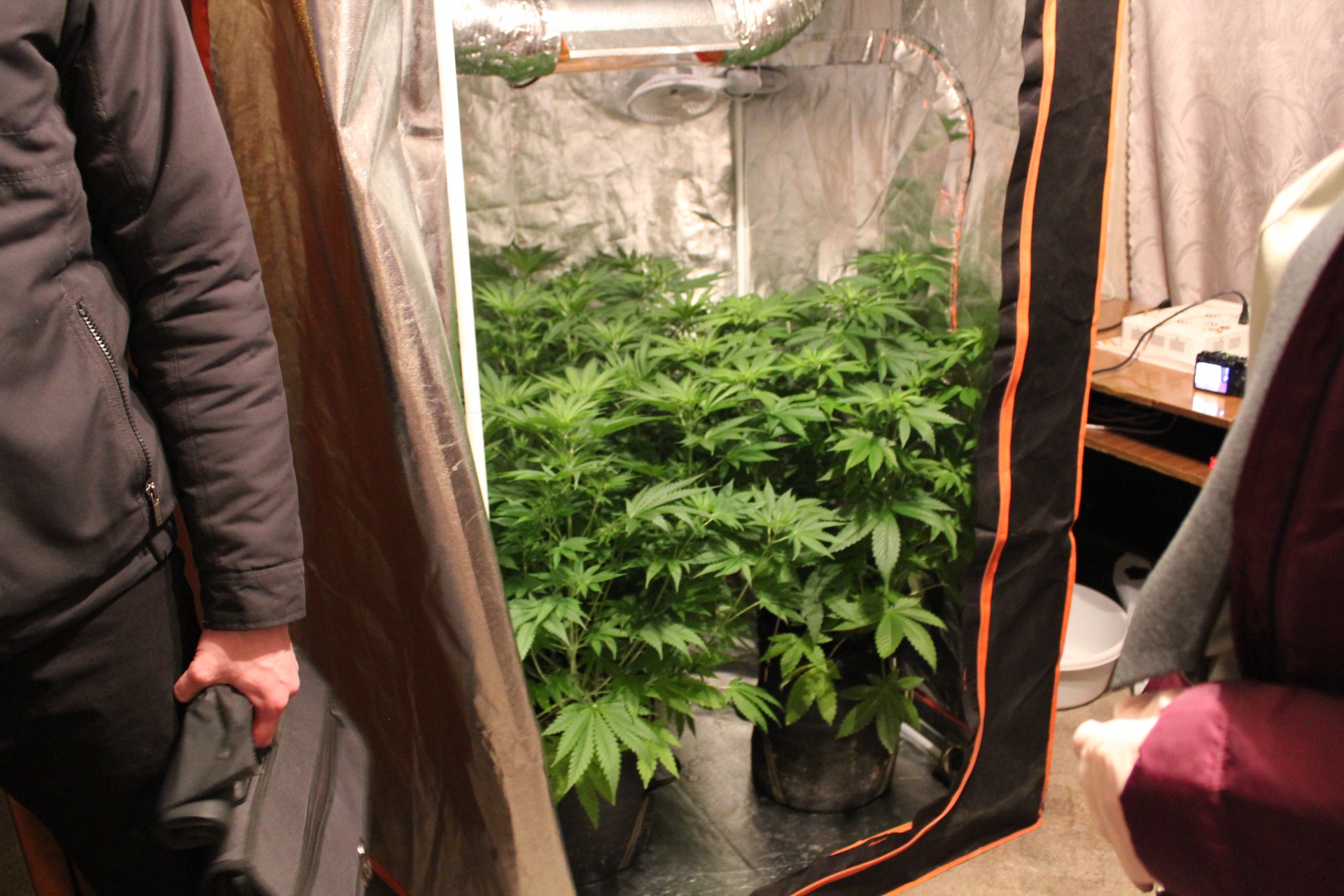 Комната по выращиванию конопли ppm марихуана