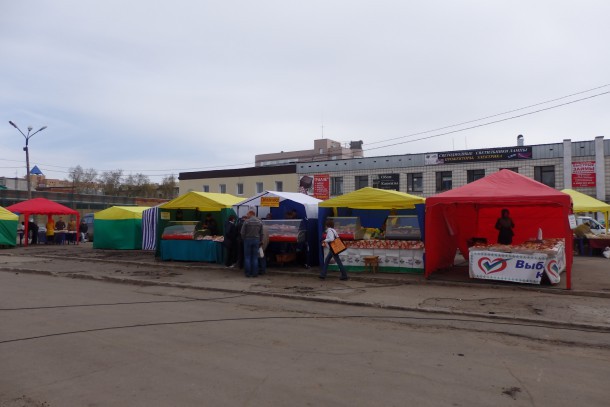 Территория ярмарки выходного дня в Сыктывкаре благоустраивается - мэрия