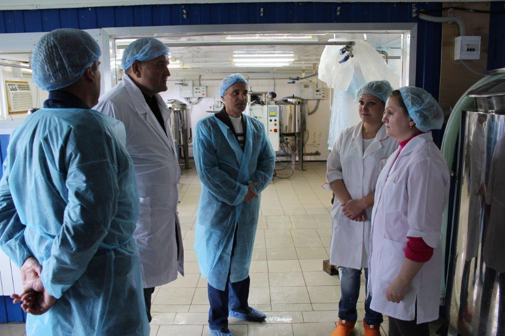 IMG_1782.jpg IMG_1782.jpg