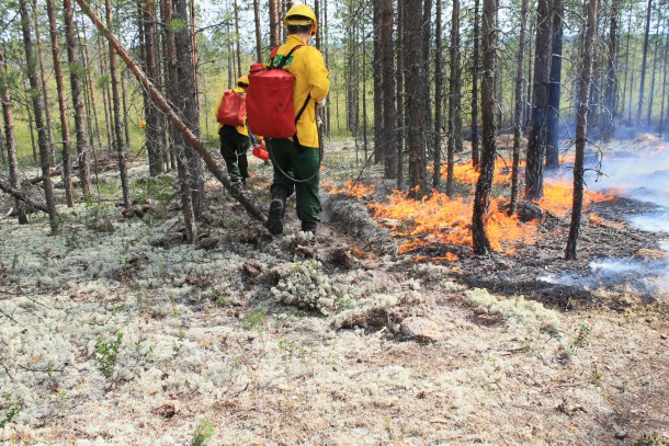 В республике обнаружены два новых лесных пожара