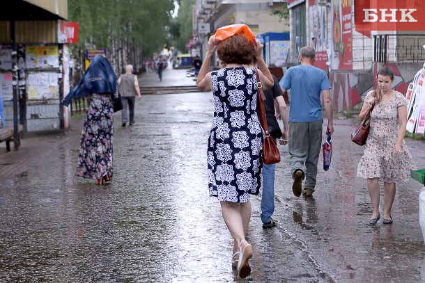 На юге и в центре Коми ожидаются ливни