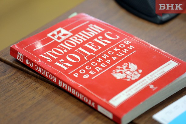 Полицейские Воркуты возбудили уголовное дело за заведомо ложное сообщение о хищении сотового телефона