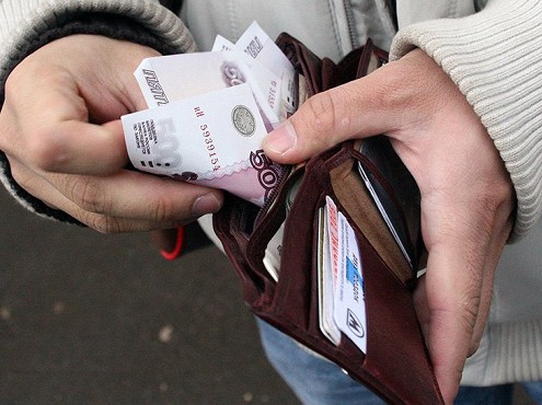 Россиянам предложили платить по 100 рублей в час