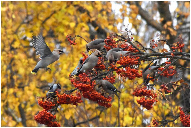 Фотокадр недели