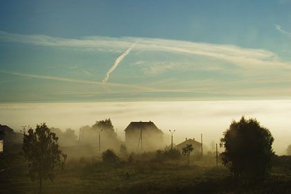 роза виноградова.JPG