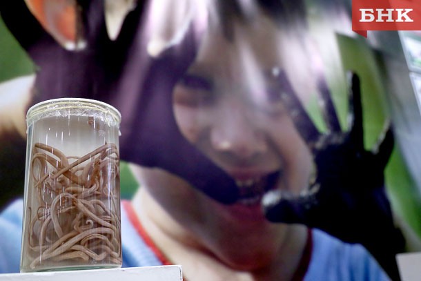 Национальный музей Коми взялся за пропаганду гигиены