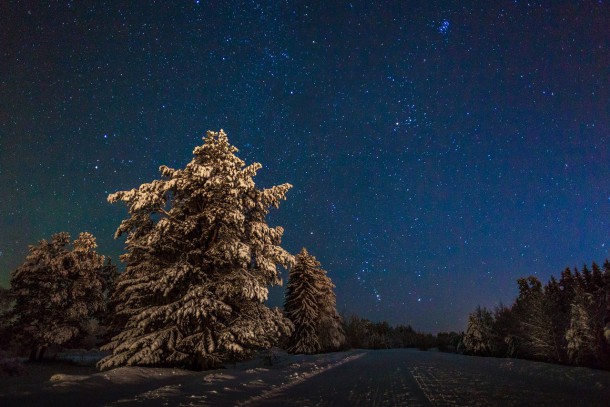 Фотокадр дня