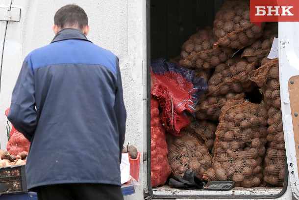 В Ижемском районе пропадает урожай картошки
