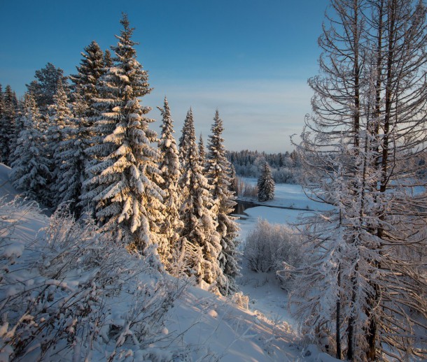 Фотокадр дня