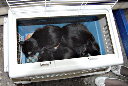 20100907-SIZ_6210.jpg
