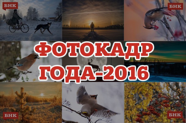 В голосовании БНК за лучший фотокадр 2016 года определились лидеры