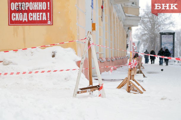 Выбор читателей БНК: отказ от «короны», семья разбилась в ДТП, «Ренова» завалит огурцами и чей был лось?