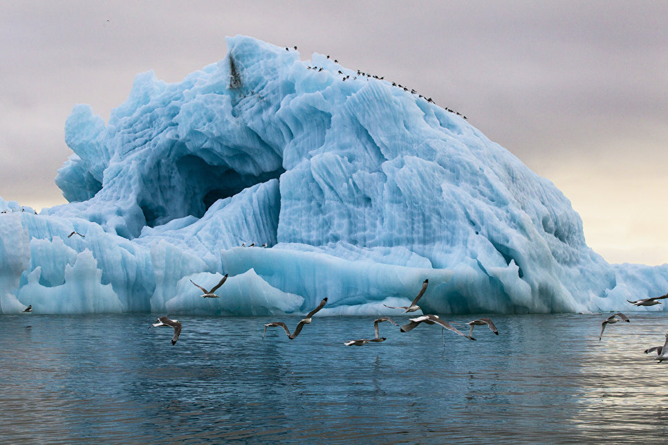 Свободный ото льда участок антарктиды