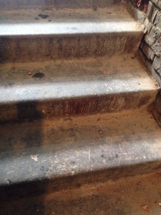 koshka2.jpg koshka2.jpg