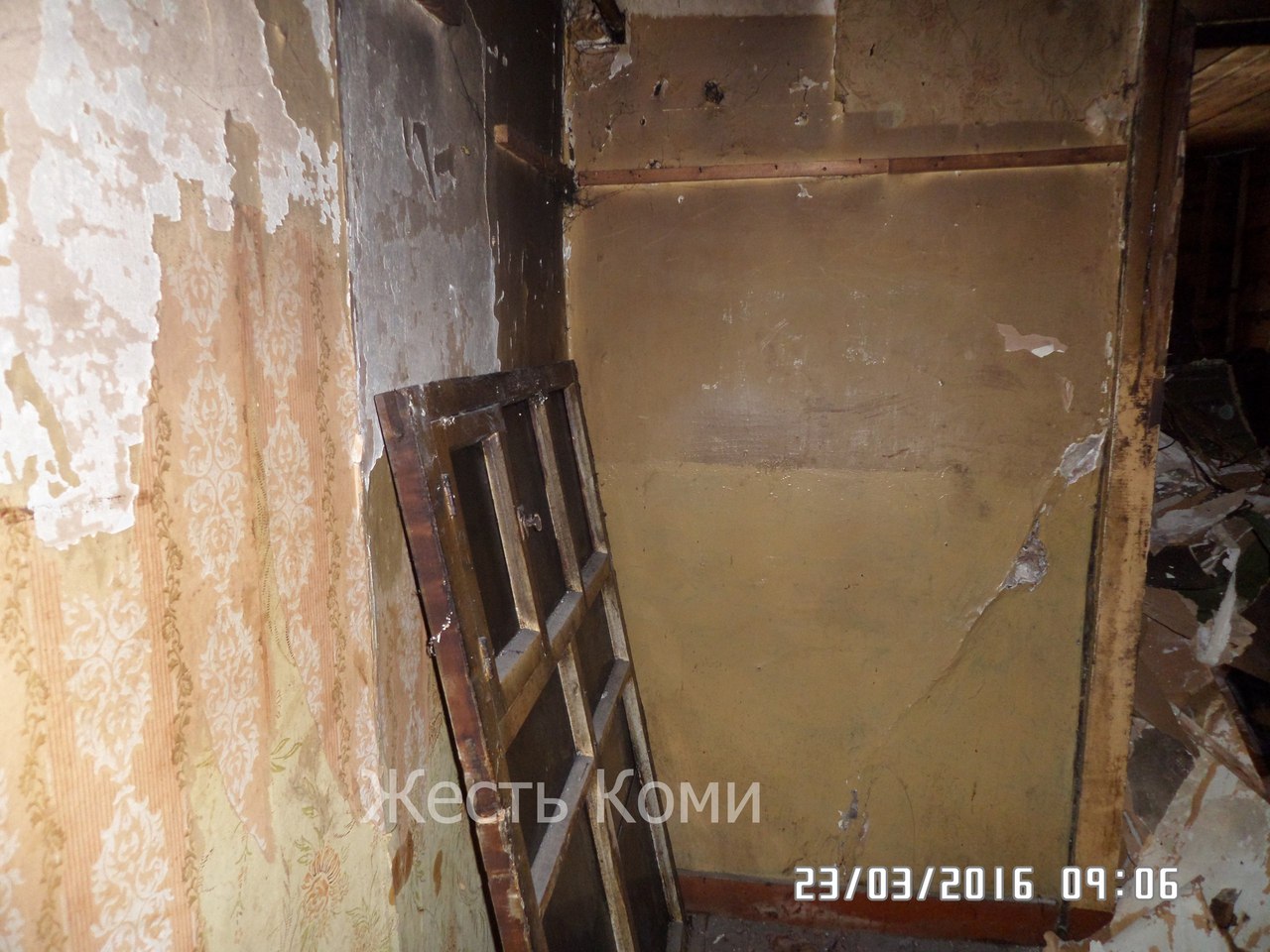 8fGyyJtnzsc.jpg 8fGyyJtnzsc.jpg