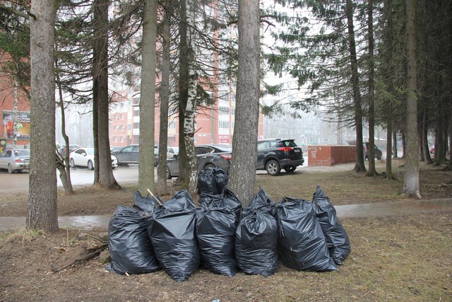 subbotnik_34.jpg subbotnik_34.jpg