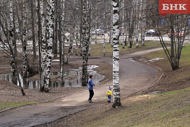 Концепцию реконструкции Мичуринского парка Сыктывкара доработают с учетом предложений общественников