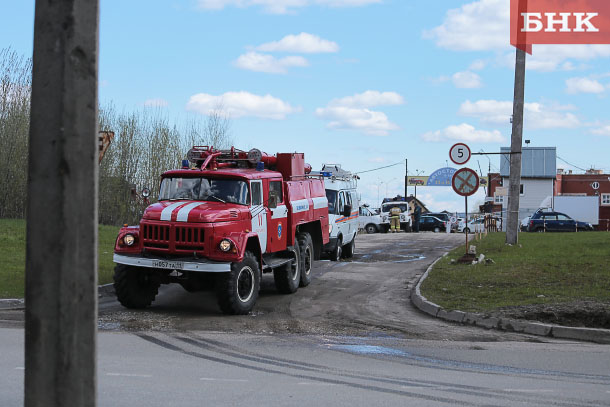 IMG_3445.jpg IMG_3445.jpg