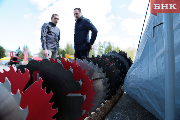 IMG_5591.jpg IMG_5591.jpg