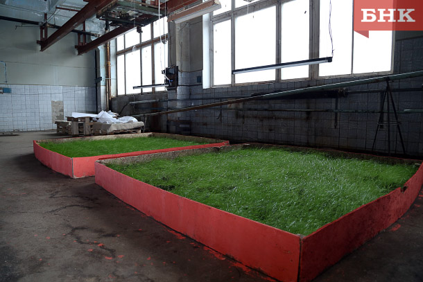 BOB_1999.jpg BOB_1999.jpg