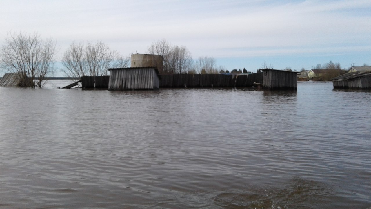 gG9O1B8wiac.jpg gG9O1B8wiac.jpg