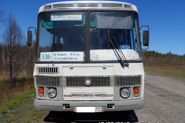 В Сосногорском районе автобус насмерть сбил пешехода
