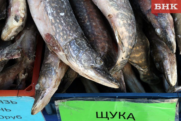 Россельхознадзор предупредил о массовых вбросах просроченной рыбы