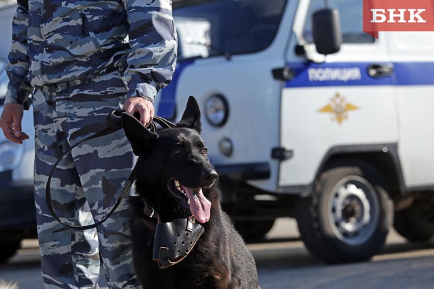 Лжепредставитель компании сотовой связи похитил у сыктывкарки более 10 тысяч рублей