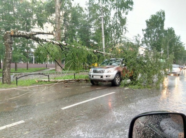 Фотофакт: в Сыктывкаре стихия повалила дерево на внедорожник