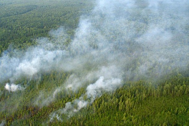 До Воркуты добрался смог от пожаров из близлежащих районов