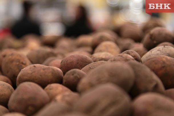 Россельхознадзор Коми напомнил правила уборки картофеля и его хранения