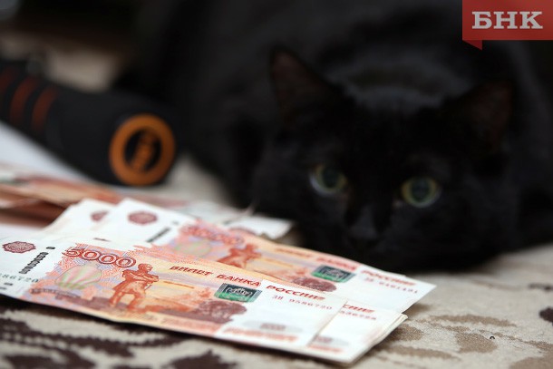 Комистат: «Среднедушевой денежный доход жителя Коми - 30 тысяч рублей»