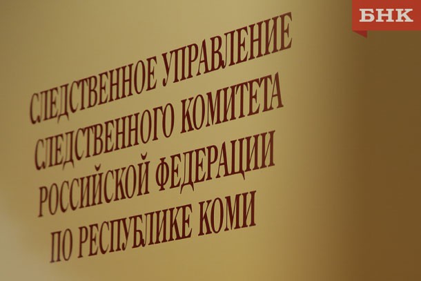 Ухтинец получил три года условно за детскую порнографию