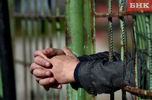 Сыктывкарца лишили свободы за удар в лицо полицейскому